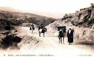 1606- Blida - Route des Glacieres